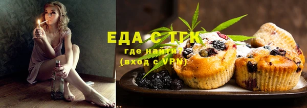 индика Алексин