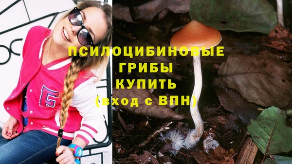 индика Алексин