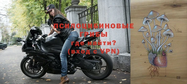индика Алексин