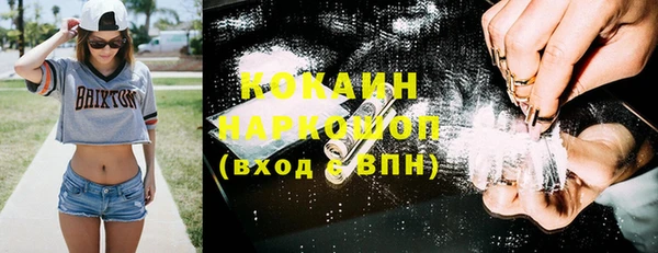индика Алексин