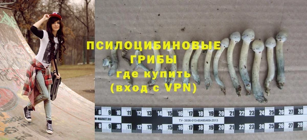MESCALINE Кодинск