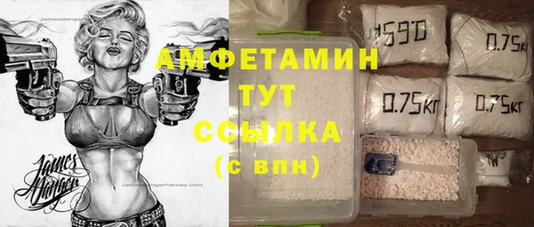 индика Алексин