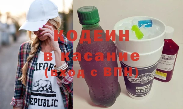 индика Алексин