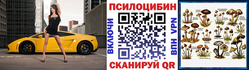 Псилоцибиновые грибы прущие грибы  Бежецк 
